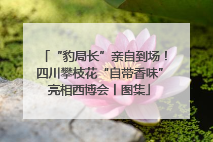 “豹局长”亲自到场！四川攀枝花“自带香味”亮相西博会丨图集