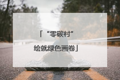 “零碳村” 绘就绿色画卷