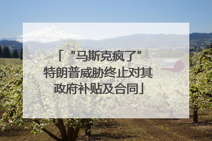 “马斯克疯了” 特朗普威胁终止对其政府补贴及合同