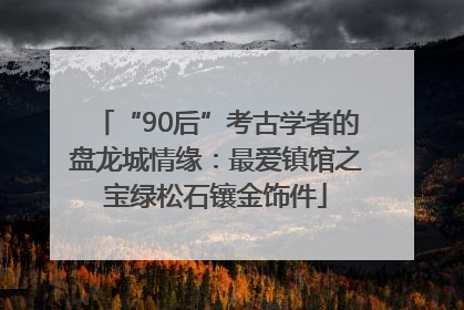 “90后”考古学者的盘龙城情缘：最爱镇馆之宝绿松石镶金饰件
