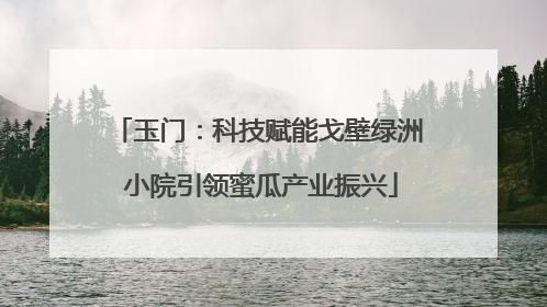 玉门：科技赋能戈壁绿洲 小院引领蜜瓜产业振兴