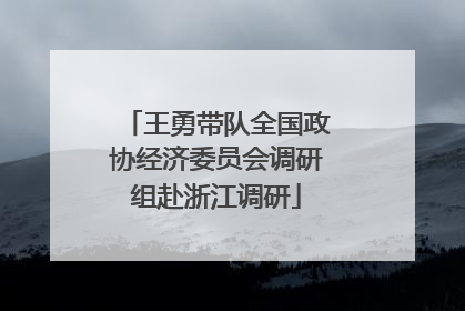 王勇带队全国政协经济委员会调研组赴浙江调研