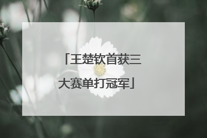 王楚钦首获三大赛单打冠军