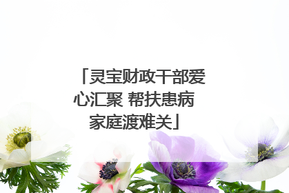 灵宝财政干部爱心汇聚 帮扶患病家庭渡难关