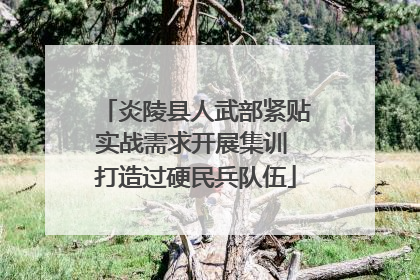 炎陵县人武部紧贴实战需求开展集训 打造过硬民兵队伍