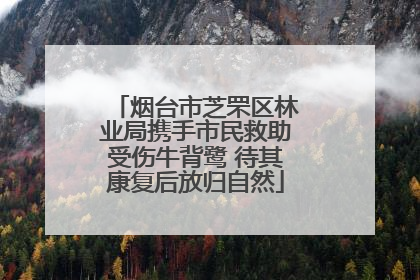 烟台市芝罘区林业局携手市民救助受伤牛背鹭 待其康复后放归自然