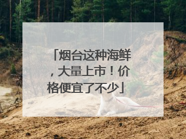 烟台这种海鲜，大量上市！价格便宜了不少