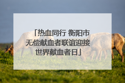 热血同行 衡阳市无偿献血者联谊迎接世界献血者日
