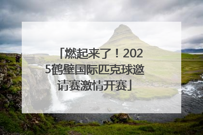 燃起来了！2025鹤壁国际匹克球邀请赛激情开赛