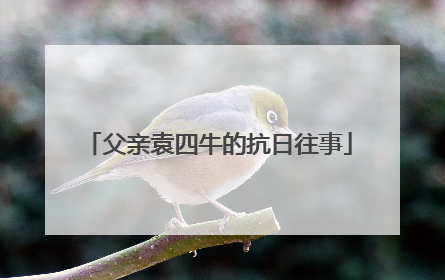 父亲袁四牛的抗日往事