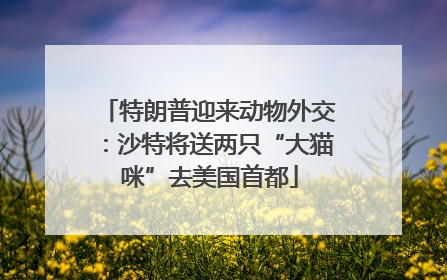 特朗普迎来动物外交：沙特将送两只“大猫咪”去美国首都