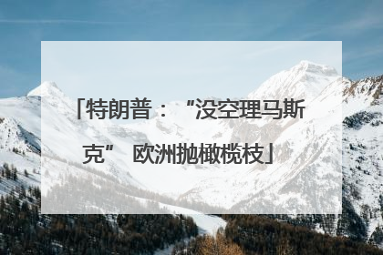 特朗普：“没空理马斯克” 欧洲抛橄榄枝