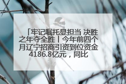 牢记嘱托显担当 决胜之年夺全胜丨今年前四个月辽宁招商引资到位资金4186.8亿元，同比增长17.4%