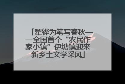 犁铧为笔写春秋——全国首个“农民作家小镇”伊塘镇迎来新乡土文学采风