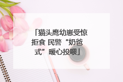 猫头鹰幼崽受惊拒食 民警“奶爸式”暖心投喂