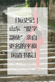 短史记｜山东“提学副使”亲自更名的平原闲道书院