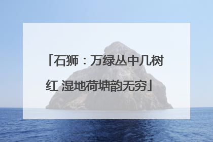 石狮：万绿丛中几树红 湿地荷塘韵无穷