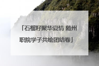 石榴籽聚华夏情 随州职院学子共绘团结卷