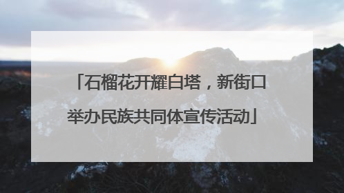 石榴花开耀白塔，新街口举办民族共同体宣传活动