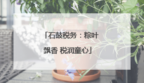 石鼓税务：粽叶飘香 税润童心
