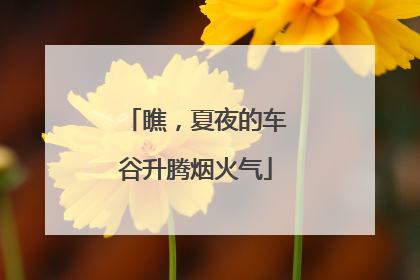 瞧，夏夜的车谷升腾烟火气