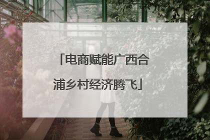 电商赋能广西合浦乡村经济腾飞