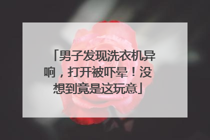 男子发现洗衣机异响，打开被吓晕！没想到竟是这玩意