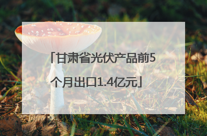 甘肃省光伏产品前5个月出口1.4亿元