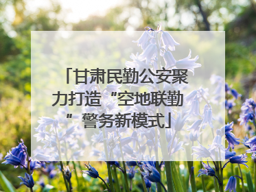 甘肃民勤公安聚力打造“空地联勤”警务新模式