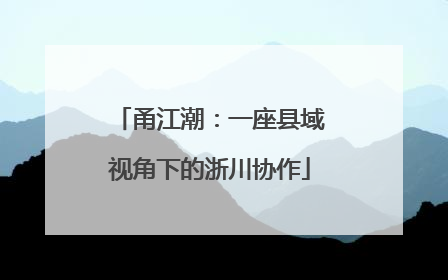 甬江潮：一座县域视角下的浙川协作