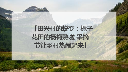 田兴村的蜕变：栀子花田的杨梅熟啦 采摘节让乡村热闹起来