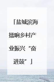 盐城滨海擂响乡村产业振兴“奋进鼓”