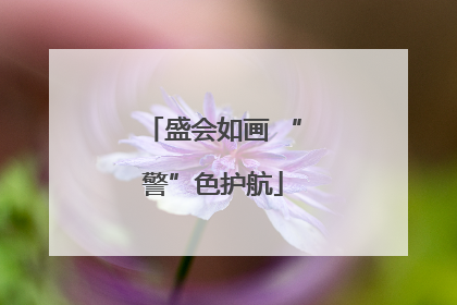 盛会如画 “警”色护航