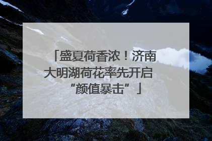 盛夏荷香浓！济南大明湖荷花率先开启“颜值暴击”