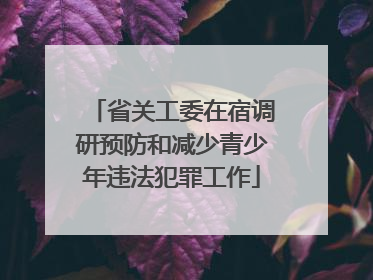 省关工委在宿调研预防和减少青少年违法犯罪工作