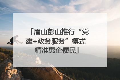 眉山彭山推行“党建+政务服务”模式 精准惠企便民