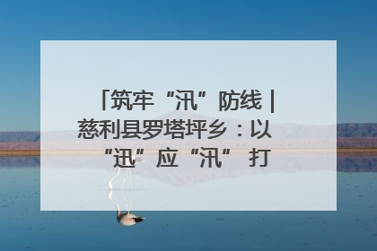 筑牢“汛”防线｜慈利县罗塔坪乡：以“迅”应“汛” 打赢暴雨防御战