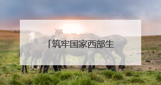 筑牢国家西部生态安全屏障——甘肃省生态环境系统推进美丽甘肃建设交出亮眼答卷