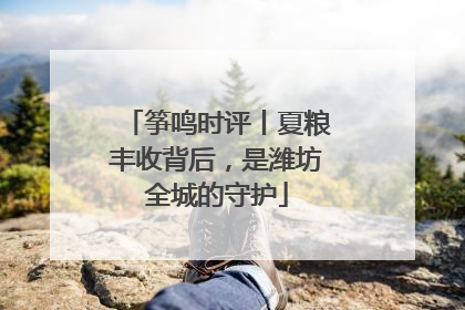 筝鸣时评丨夏粮丰收背后，是潍坊全城的守护