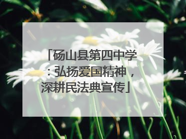 砀山县第四中学：弘扬爱国精神，深耕民法典宣传