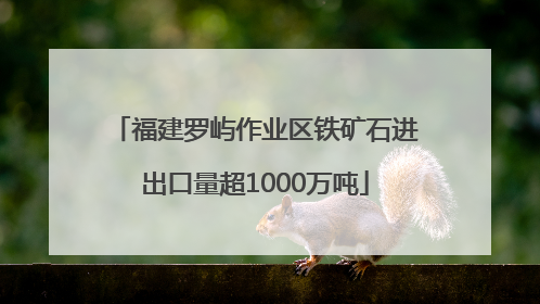 福建罗屿作业区铁矿石进出口量超1000万吨