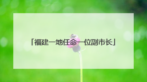 福建一地任命一位副市长