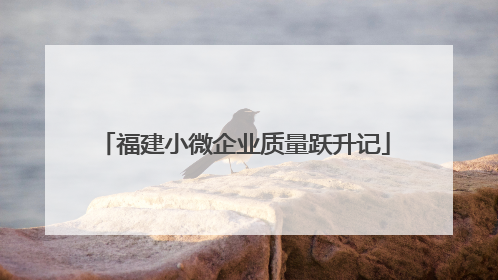 福建小微企业质量跃升记