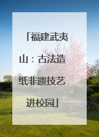 福建武夷山：古法造纸非遗技艺进校园