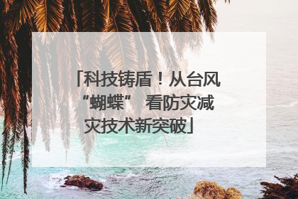 科技铸盾！从台风“蝴蝶” 看防灾减灾技术新突破
