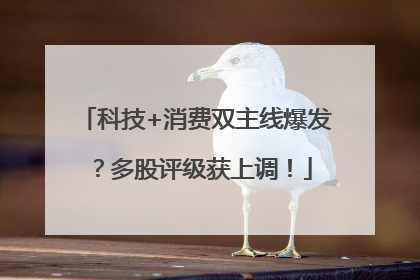 科技+消费双主线爆发？多股评级获上调！