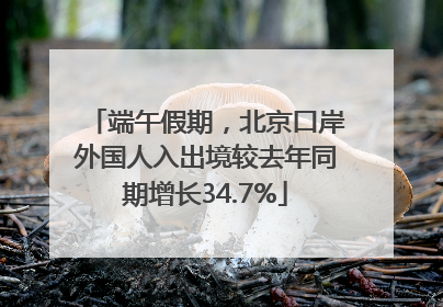 端午假期，北京口岸外国人入出境较去年同期增长34.7%