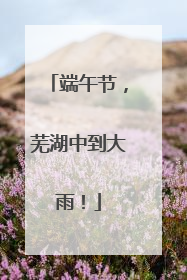 端午节，芜湖中到大雨！
