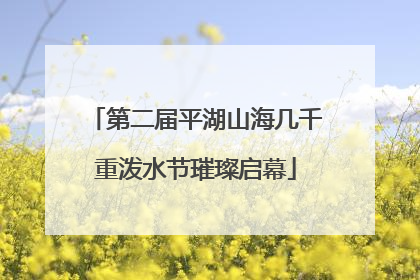 第二届平湖山海几千重泼水节璀璨启幕