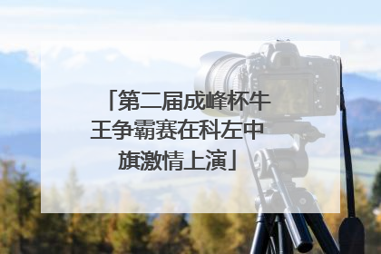 第二届成峰杯牛王争霸赛在科左中旗激情上演